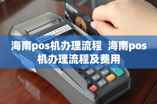 海口新生POS机办理全攻略，从入门到精通，一篇文章解决你的所有疑问