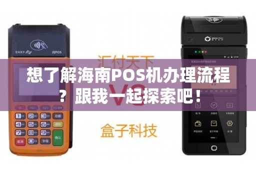 海口新生POS机办理全攻略，从入门到精通，一篇文章解决你的所有疑问