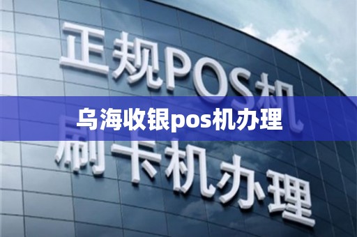 乌海POS机办理代理全攻略，轻松上手，高效收益