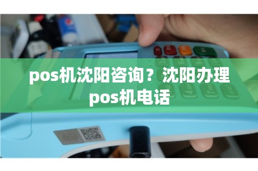 沈阳POS机办理客服全攻略，办理流程、注意事项与常见问题解答