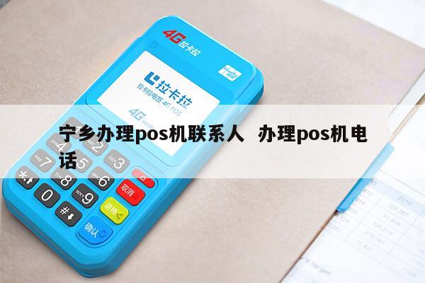 宁乡POS机办理销售全攻略，一站式解决方案与实用指南