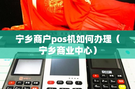 宁乡POS机办理销售全攻略，一站式解决方案与实用指南
