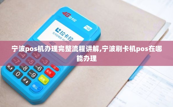 宁波线下办理POS机全攻略，流程、要点与案例详解