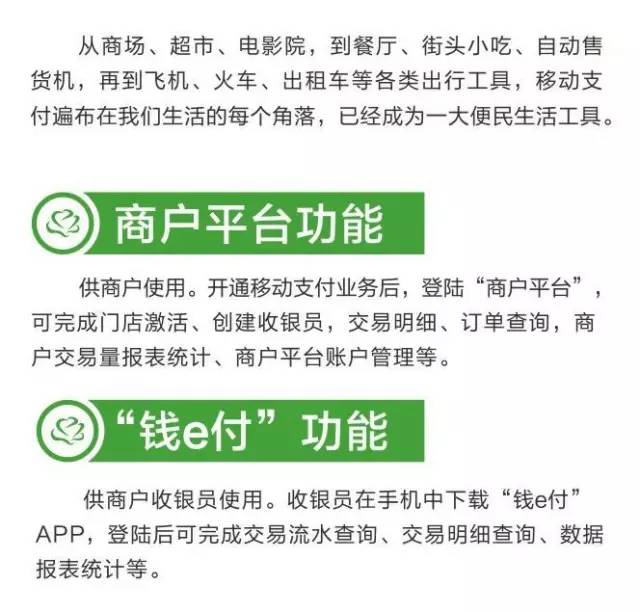 POS机办理流程及注意事项，法人身份不可或缺的重要性