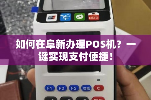 阜新个人POS机办理全攻略，从申请到使用，一篇文章全明白！