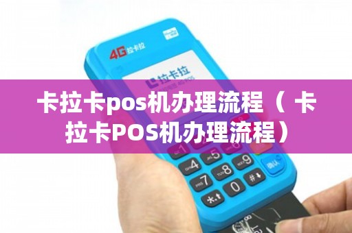 卡拉卡POS机办理全攻略，轻松上手，高效支付