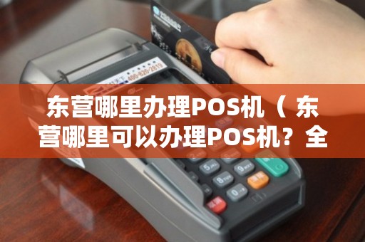 东营本地POS机办理全攻略，流程、要点与案例详解
