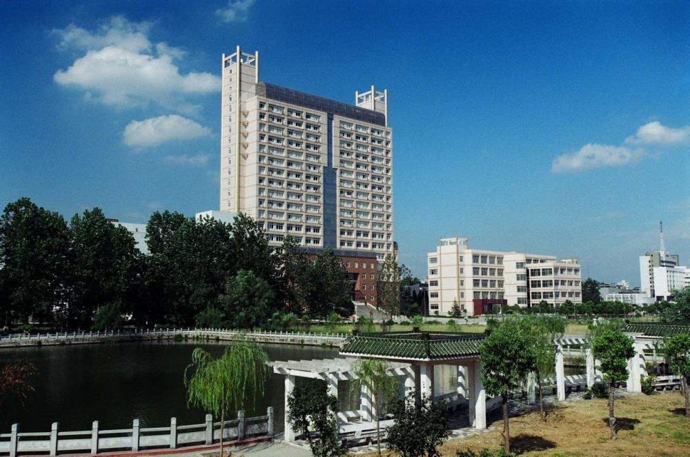 宁夏大POS机办理全攻略，流程、要点与案例详解