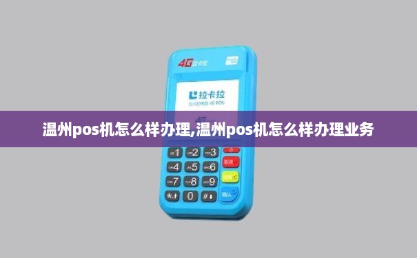 温州POS机办理全攻略，哪里办、怎么办，一次讲清楚！