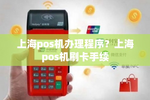 上海手持POS机办理全攻略，流程、要点与案例解析
