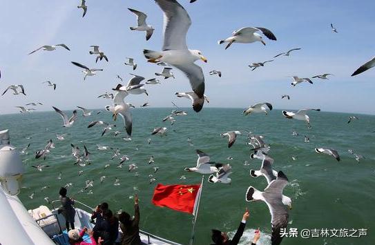武汉办理POS机免费，轻松实现支付自由