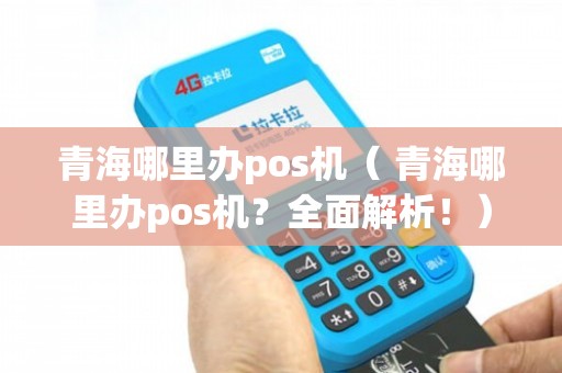 青海POS机哪里办理？看这篇就够了！