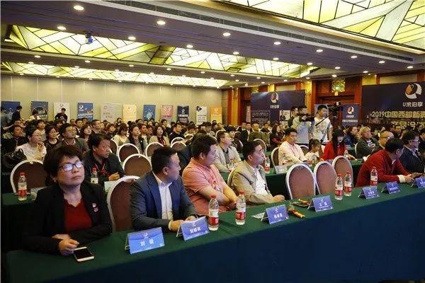 U米POS机办理全攻略，流程、要点与案例详解