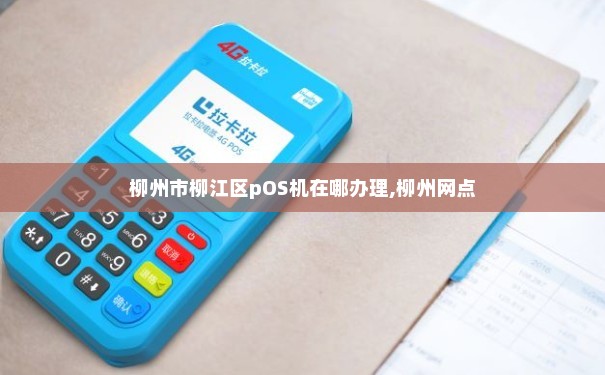 柳州POS机办理全攻略，哪里办理、如何操作及注意事项