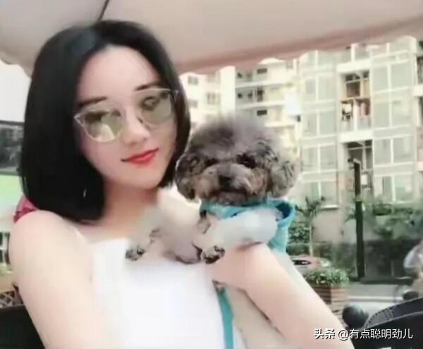 扬州POS机办理指南，一步步教你轻松搞定