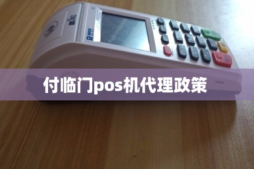 付临门POS机办理全攻略，流程、要点与案例详解