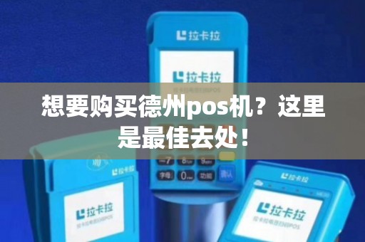 德州POS机办理全攻略，轻松搞定支付利器，一文掌握办理地点与流程