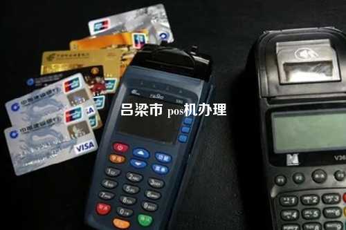 吕梁个人POS机办理全攻略，流程、要点与案例详解