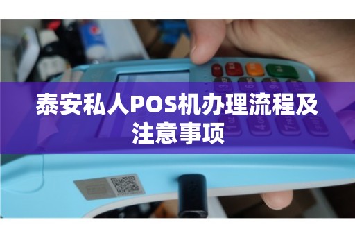 泰安正规POS机办理全攻略，流程、要点与案例解读