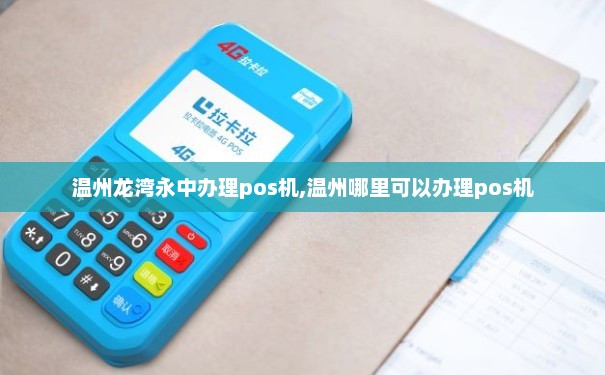 温州龙湾办理POS机全攻略，轻松上手，便捷支付