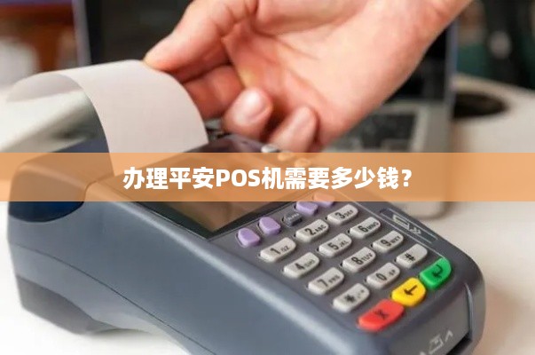 平安付POS机办理全攻略，流程、费用、案例一网打尽！