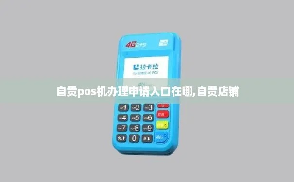 自贡地区移动POS机办理全攻略，轻松上手，便捷支付