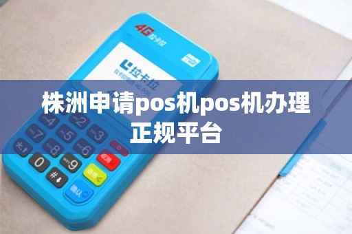 株洲个人POS机办理全攻略，从申请到使用，一篇文章全明白