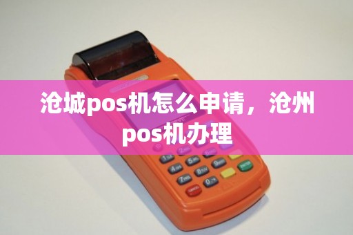 沧州个人办理POS机全攻略，流程、要点与案例解析