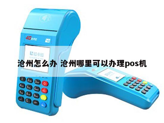 沧州个人办理POS机全攻略，流程、要点与案例解析