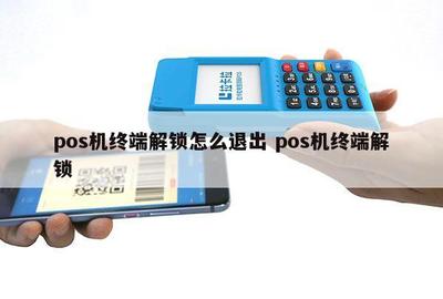 关于Visa POS机办理费用，你想知道的一切