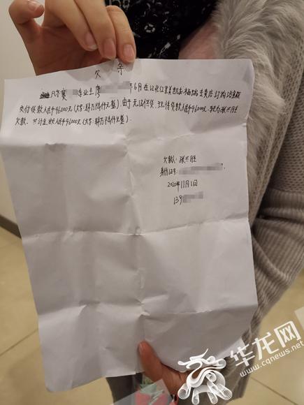 重庆POS机个人办理全攻略，轻松上手，高效收款