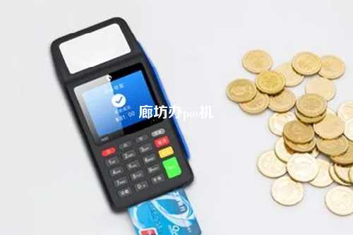廊坊移动POS机办理全攻略，步骤、要点与案例详解