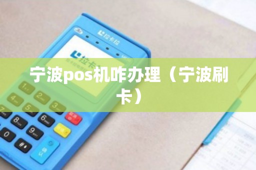 宁波POS机的办理全攻略，轻松上手，高效支付