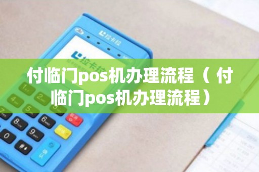 付临门POS机办理全攻略，流程、费用、案例大解析