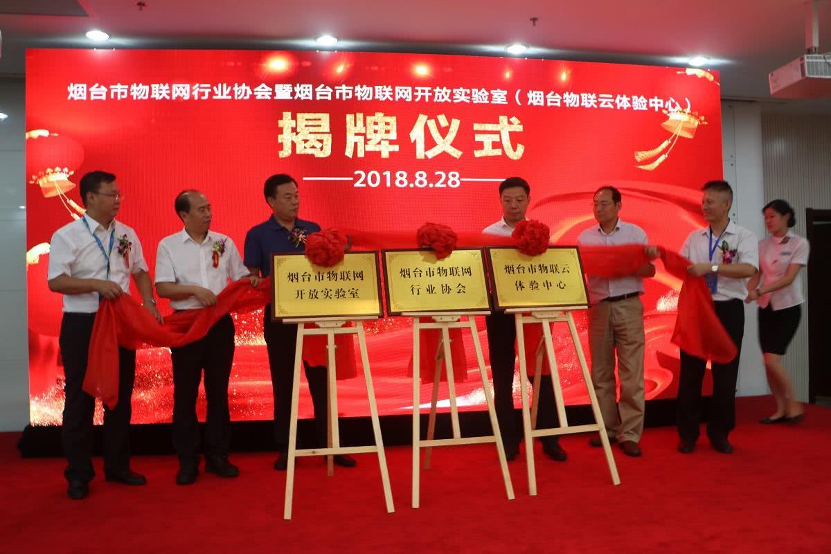 烟台免费办理POS机，轻松开启便捷支付之旅