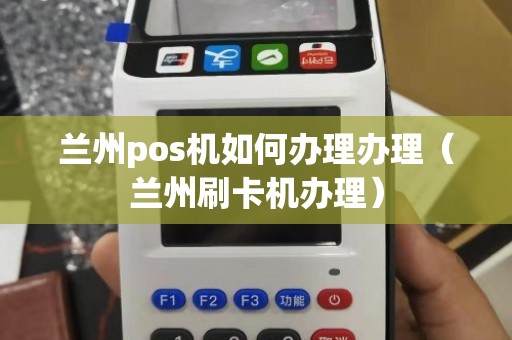 兰州大POS机办理全攻略，流程、要点与案例详解