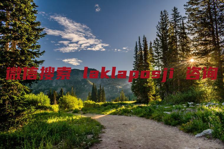 卡拉卡POS机免费办理全攻略，轻松上手，高效收款