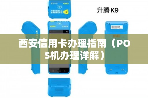 西安大POS机个人办理全攻略，一步步教你如何轻松搞定