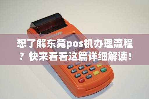 虎门镇POS机办理全攻略，申请、使用与注意事项