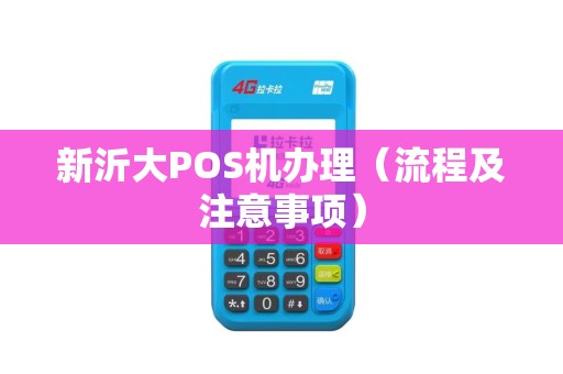 新沂市POS机办理全攻略，流程、要点及案例解析