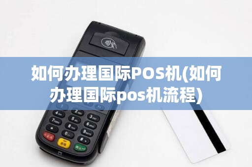 境外大POS机办理流程详解，从申请到使用全攻略