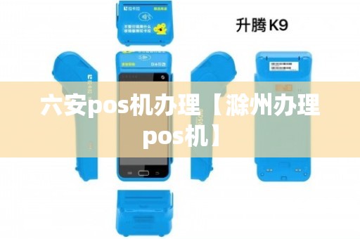 六安办理POS机全攻略，流程、要点与案例详解