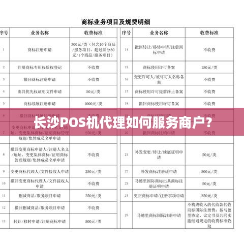 长沙岳麓区POS机办理地址全解析，轻松上手，助力商户经营