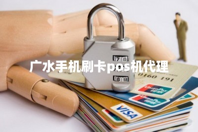 广水市POS机办理全攻略，申请、使用与常见问题解答