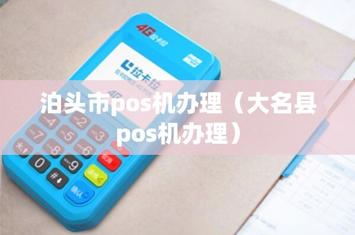 泊头市POS机办理全攻略，申请、使用及注意事项