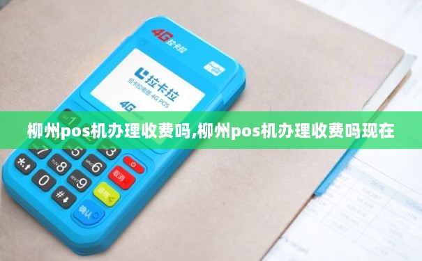 柳州市POS机办理全攻略，流程、费用、注意事项一网打尽