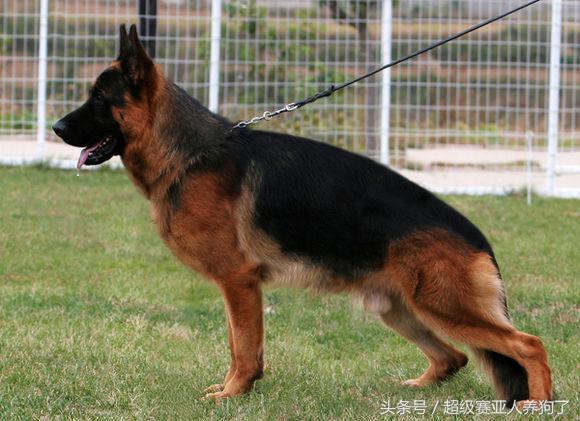 非标准办理POS机，那些你可能不知道的事儿