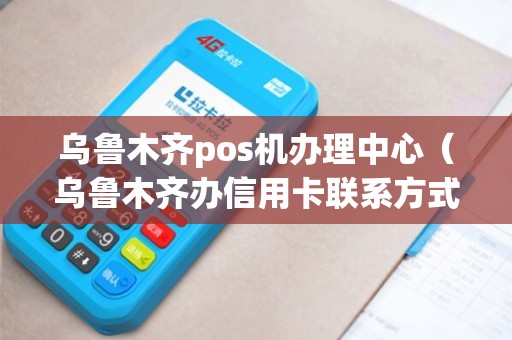 乌鲁木齐市POS机办理全攻略，申请、使用与注意事项详解
