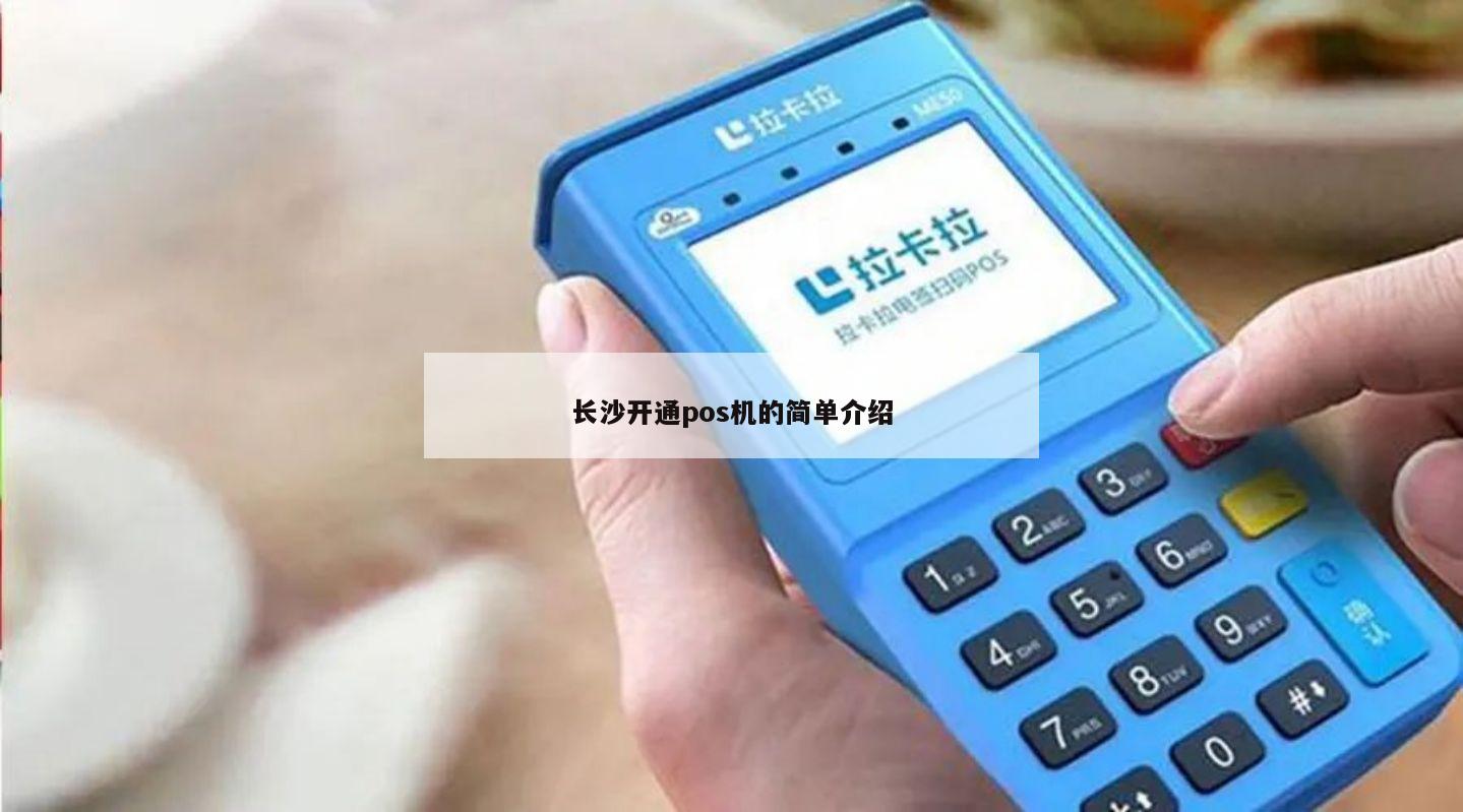 长沙开店宝POS机办理全攻略，轻松上手，高效运营