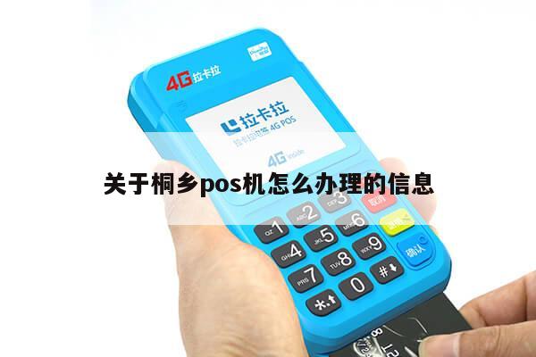 桐乡POS机办理全攻略，步骤、要点、案例全解析